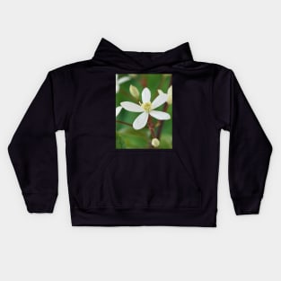 Clematis terniflora var. mandshurica	Manchurian clematis Kids Hoodie